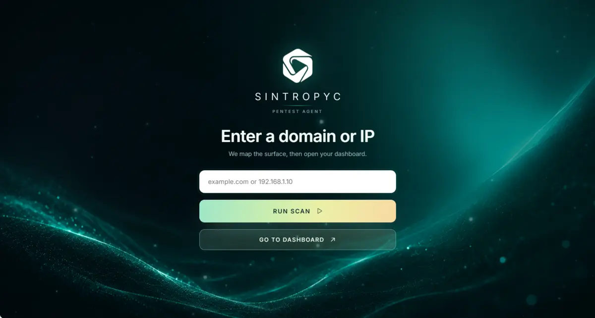 Sintropyc — enter a domain or IP to start a scan